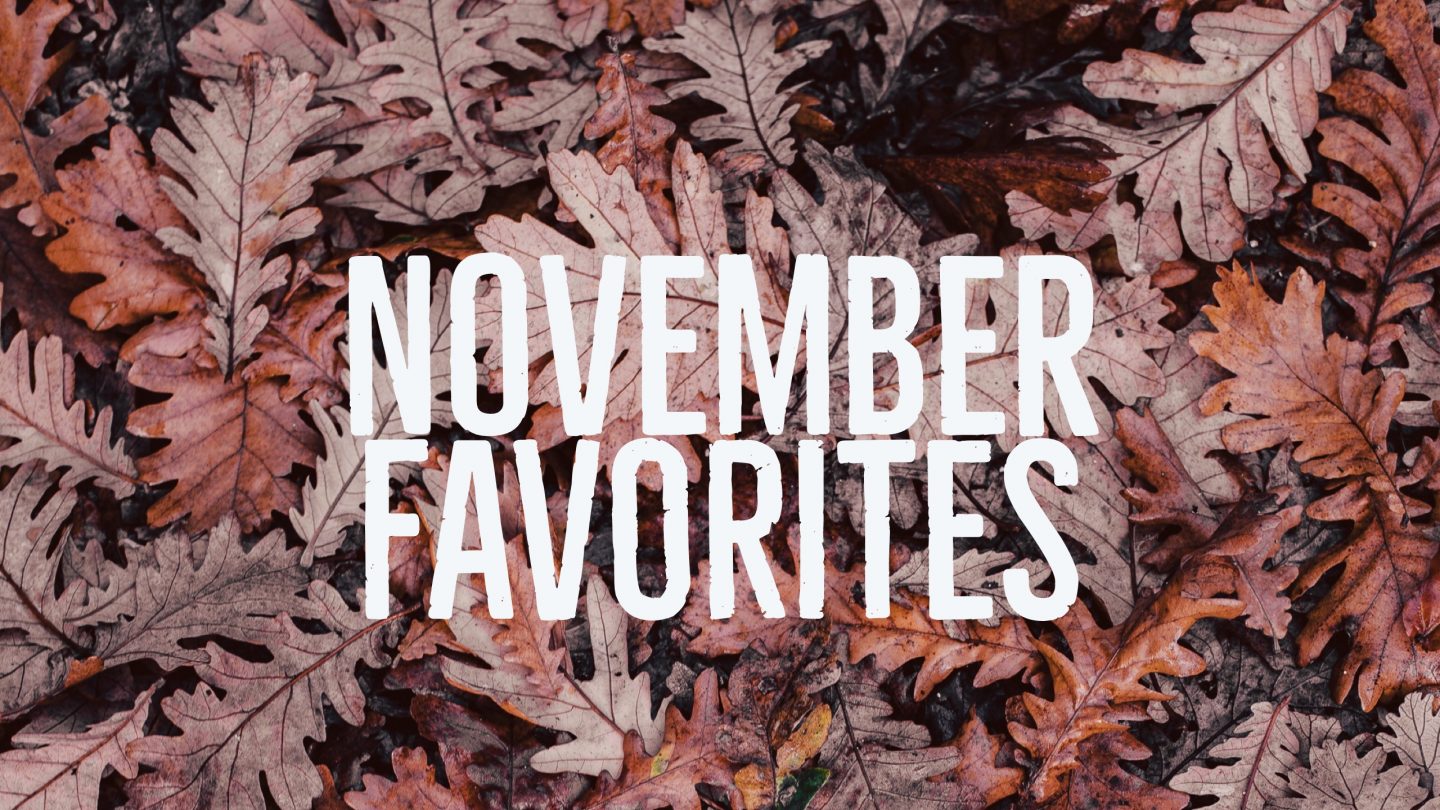 November Favorites